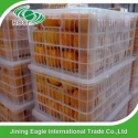  fresh mandarin orange - product's photo