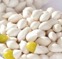 ginkgo nuts /peeled ginkgo nuts/raw ginkgo nuts - product's photo