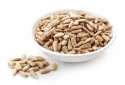 high quality organic sunflower kernels / premium bakery grade sunflowe - product's photo