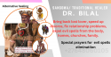 love spells +27648060105 long distance spellcaster in saulsville, cars - product's photo