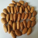 raw almond nuts - product's photo