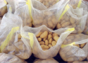 yellow potatoes for sale - product's photo