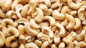 pistachio nuts in shells/pistachio nuts without shell - product's photo