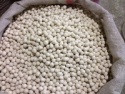  view larger image white roasted chickpeas leblebi share to:     add to my favorites white roasted chickpeas leblebi - product's photo
