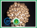 86-21-34123278 - product's photo