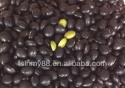big black bean/black soya bean/black soybean with green kernel - product's photo
