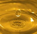 crude sunflower oil - product's photo