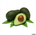 gizmar ozel egitim alliga torpear - product's photo