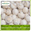 frozen champignon - product's photo