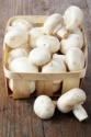 fresh white beech mushroom - product's photo