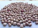 light speckled kidney beans - product's photo
