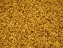 cassia meal powder - product's photo