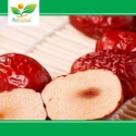 fresh red jujube - product's photo
