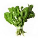 fresh arugula - product's photo