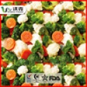 frozen mix vegetable - product's photo