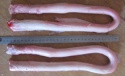 beef pizzle - product's photo