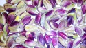 pure raw, shelled, entire kernel of pistachio  - product's photo