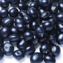 black kidney bean - product's photo