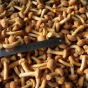 iqf nameko - product's photo