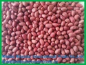 food grade peanut kernel groundnut kernel 24/28 - product's photo