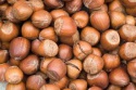 premium quality grade a natural raw hazelnut / organic grade a  - product's photo