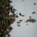 chong wei zi motherwort fruit - product's photo